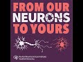 Brain stimulation &amp; "psychiatry 3.0" | Nolan Williams