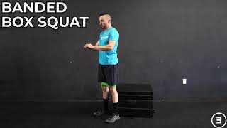 Banded Box Squat