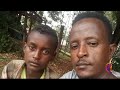 Boy, 12, wins hearts after trying to check sick chicken into Ethiopian hospital