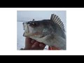 Лучшие и уловистые мормышки