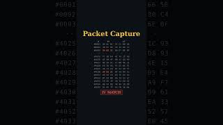 How to Hack WiFi With Basic Algebra #cryptography #shorts #cybersecurity #hacking
