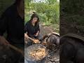Cook With Chaba 
