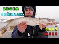 ДВОЕМ ПОЙМАЛИ ОДНУ ЩУКУ!!! ТАКОЕ БЫВАЕТ НА РЫБАЛКЕ!!!