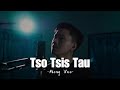 MENG​ VUE​ -​ Tso​ Tsis​ Tau​ (Videos)​