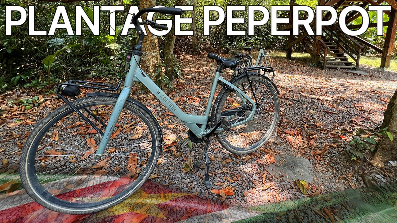Peperpot Nature Park bike tour🚲