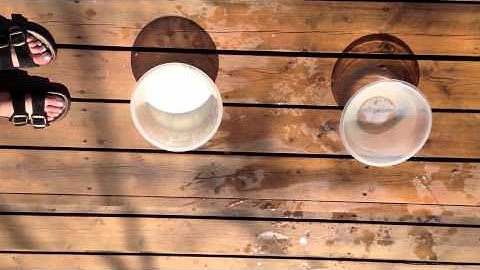 Magic of Physics- Corn Starch and Water