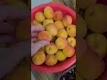 Bellissimo, fruits! Treasures of nature