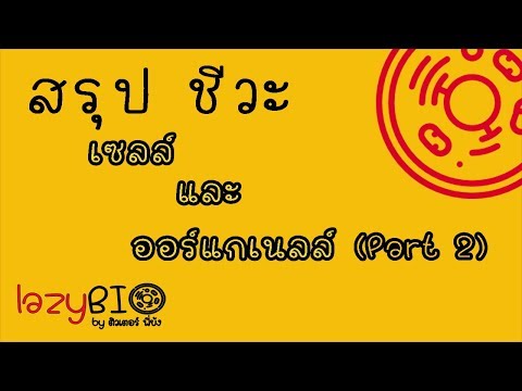 สรุปชีวะ เซลล์ และ ออร์แกเนลล์ ep2