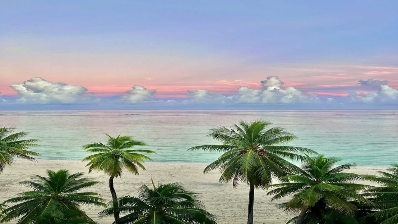 (FREE) Playboi Carti x Adrian x Pierre Bourne Type Beat "Vibes"