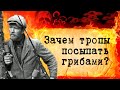 В чем была смекалка партизан в годы Великой Отечественной войны? Для чего тропы посыпали грибами?