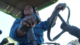 Watch Ruthie Foster Working Woman video