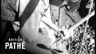Apprentice Builders (1948)