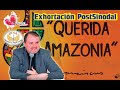 Presentación: Exhortación PostSinodal del Papa Francisco (Querida Amazonia)