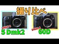 【撮り比べ】キヤノン EOS 5Dmk2 vs 60D APS-Cでフルサイズ にどこまで迫れるか？