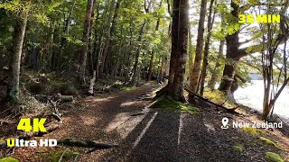 Virtual Run 4K - Treadmill workout Kepler Track - Virtual Running Video - Scenery New Zealand