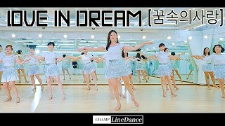 [토요강사동호회] Love In Dream (꿈속의사랑) LineDance | 초급라인댄스 | 꿈속의사랑 라인댄스 | 트롯라인댄스 |   010 8833 4921