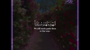 حالات واتس قرآن|القارئ طارق محمد