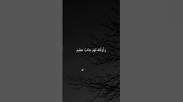 دقيقة من القرآن الكريم بصوت الشيخ ماهر المعيقلي #قرآن #قرآن_كريم #قران #religion