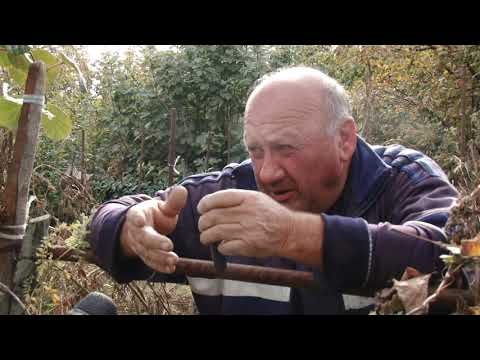 ჰიგიენის წესები და წყლის პრობლემა სოფლებში