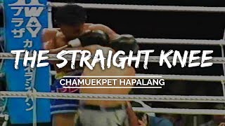 The Best Straight knees in Muay Thai History - Chamuekpet Hapalang ฉมวกเพชร ห้าพลัง