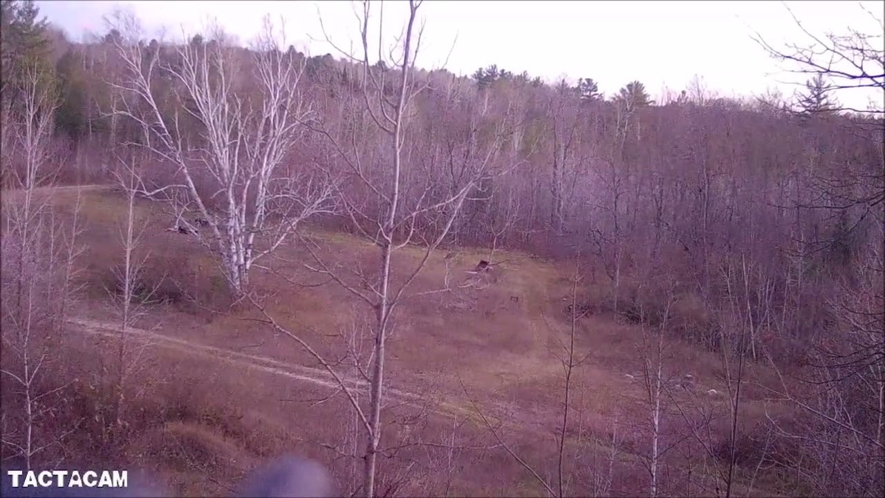 128 yard 350 legend doe kill shot