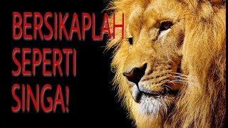 Motivasi video untuk semua(the lion untittude)berjuanglah!!!