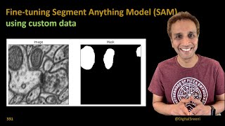 331 - Fine-tune Segment Anything Model (SAM) using custom data