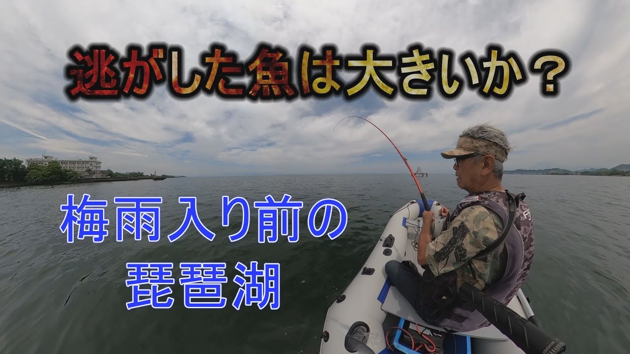 逃がした魚は大きいか？2－梅雨入り前の琵琶湖