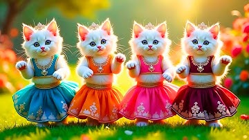 बिल्ली डांस | Cutest Cat videos funny dance🤣💃Dance Videos for cats #funny #dancingcat #cat #cute