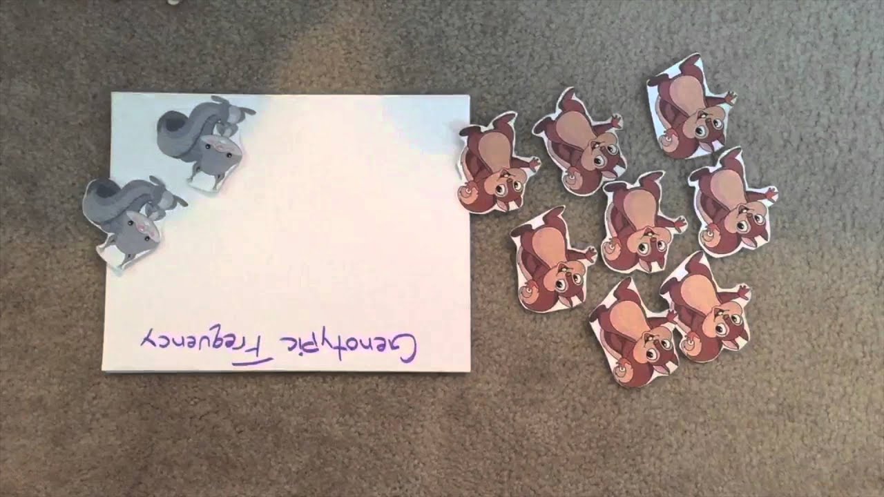 Population Migration Video Draft