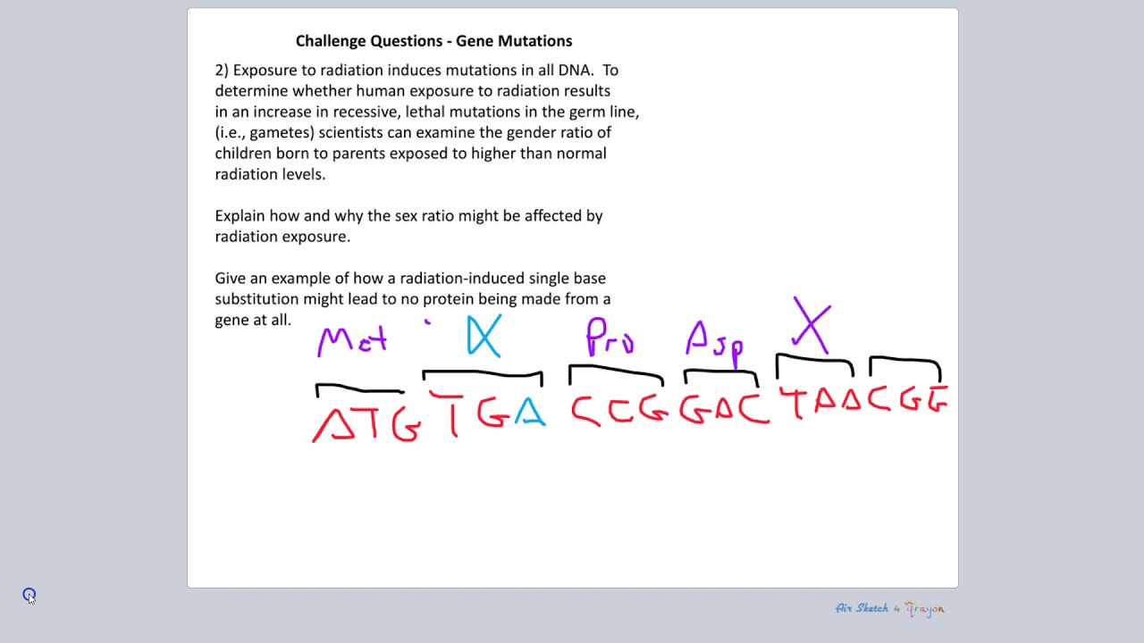 CQ#3-5 - Central Dogma and Mutations