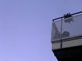 TWO UFO'S DAYLIGHT SIGHTING IN HOLLAND ☆☆☆☆☆