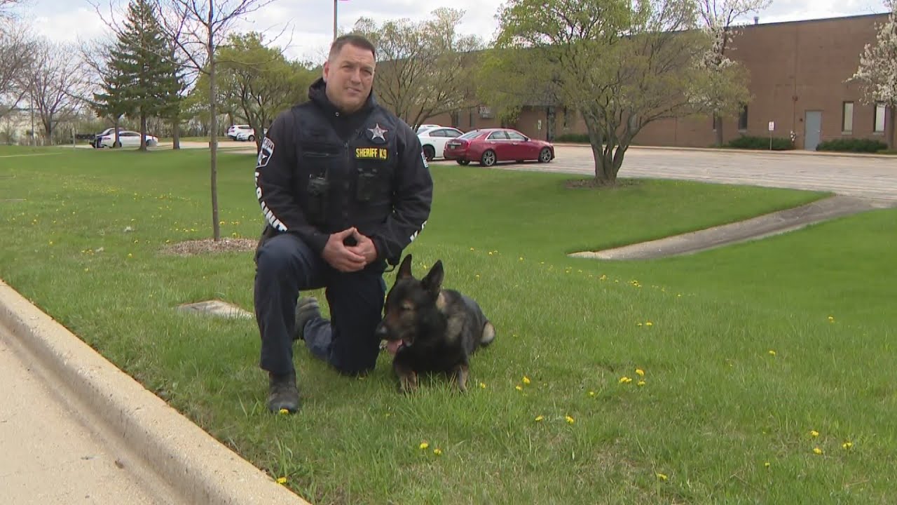 Lake County Sheriff's K-9 helps bust home invasion suspect - YouTube