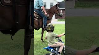 Who needs a trail riding partner!? 🐎 #trailriding #mule #horsesforsale