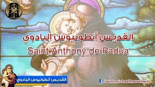 Saint Anthony of Padua - القديس أنطونيوس البدواني