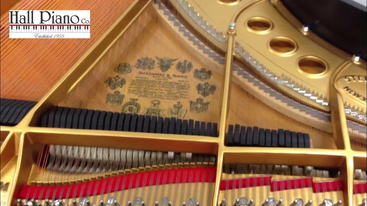 Circus Galop (HD) Live Recording On A Steinway Grand Circus Galop (HD) Live Recording On A Steinway Grand