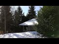 La casa nel bosco 09 02 2019