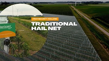 Traditional Hail Net System in the Netherlands- FRUITSECURITY HOLLAND