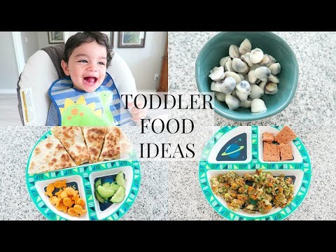 Video Thermomix Baby And Toddler Food Book