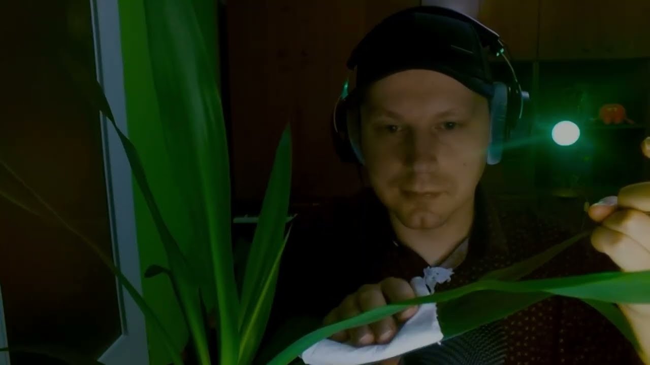 ASMR Весенняя чистка цветов 🌸 Удовлетворяющая чистка листьев (Без разговоров)