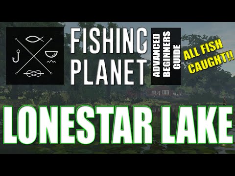 I wasn't ready Quanchkin Lake : r/FishingPlanet