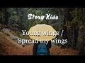 Stray Kids ~ (&#39;어린 날개&#39;) Young Wings/Spread my wings (Sub español)