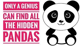 ONLY 1% CAN SOLVE ALL | HIDDEN PANDA PUZZLE | IQ TEST