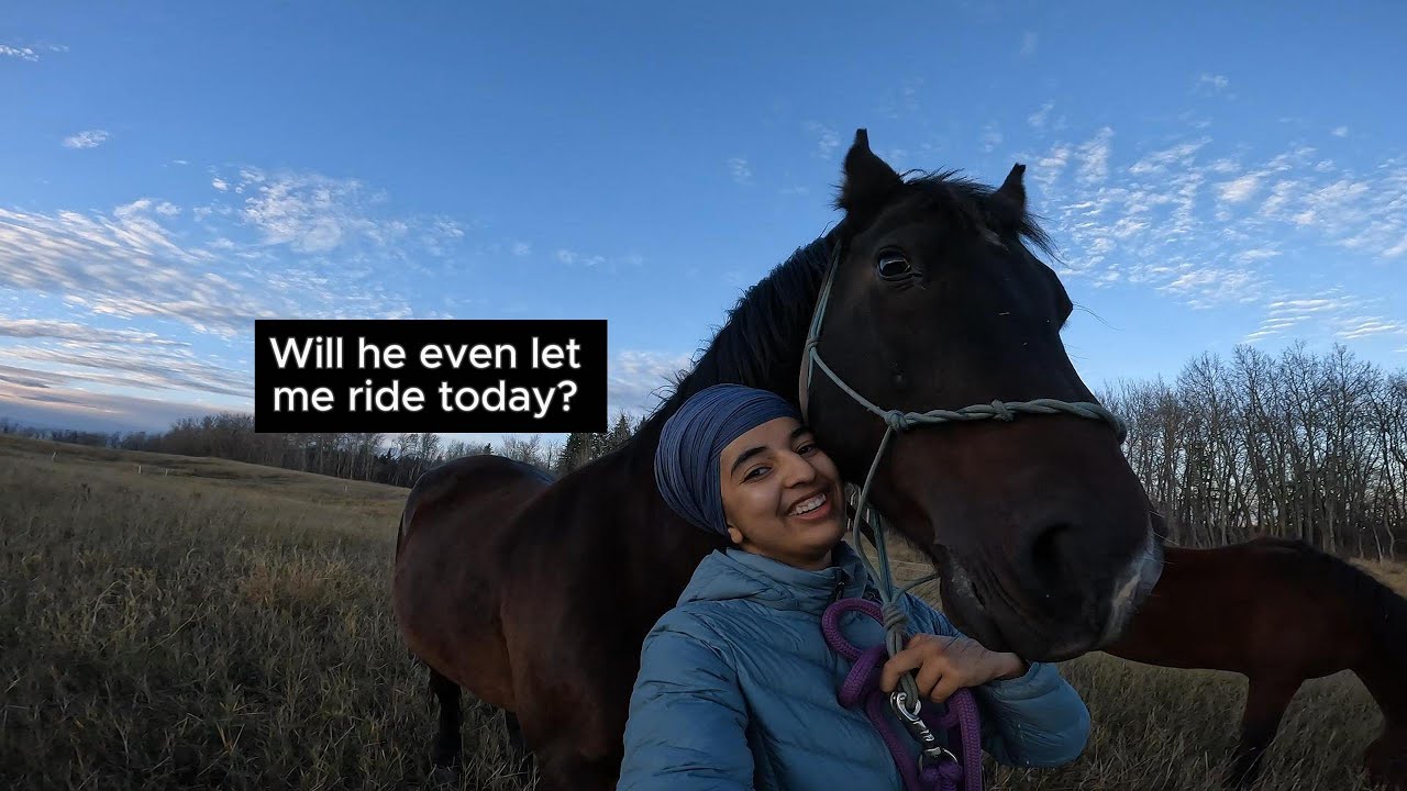 Let's Go Horse Riding Together - Vlog - YouTube