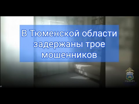 Голышмановские полицейские задержали троих подозреваемых в совершении серии мошенничеств