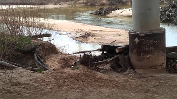 1lbs of in the red target