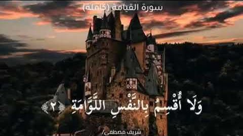 تلاوة في غاية الجمال|سورة القيامة(كاملة) | القارئ شريف مصطفى