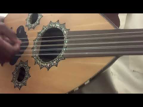 هاهو النيل حيالى للشاعر حسن حامد البدوى لحن وغناء احمد المصطفى آداء معجب