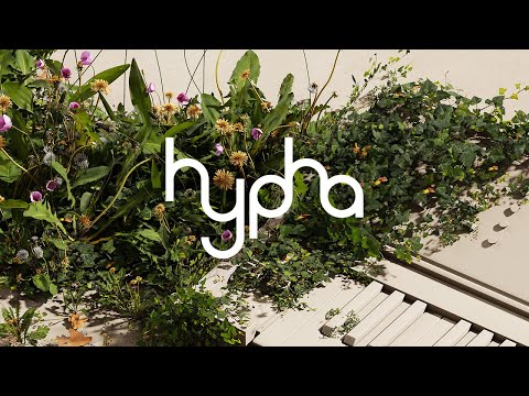 Introducing HYPHA – FREE until January 16 | Native Instruments