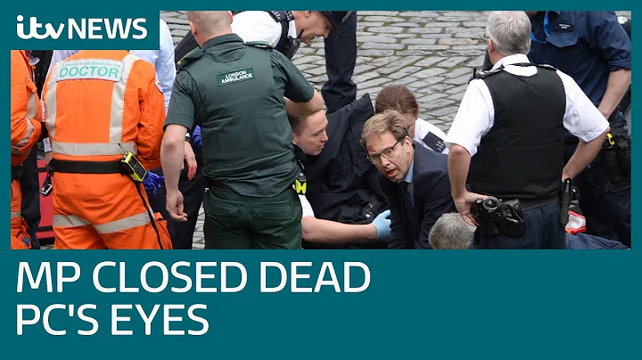 MP Tobias Ellwood closed PC Keith Palmer's eyes an...